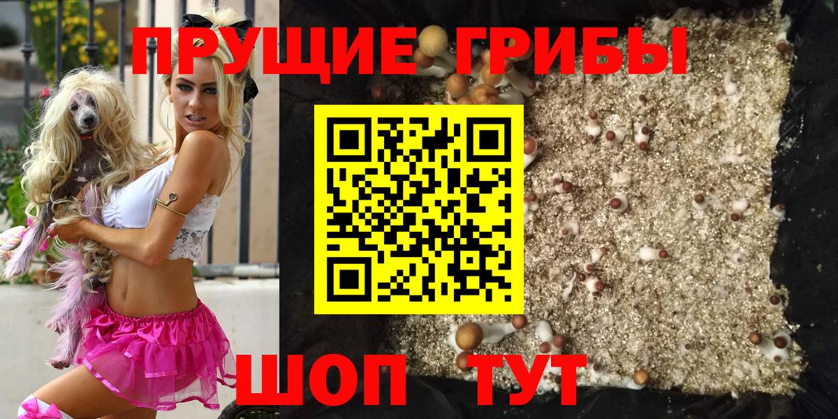Баксан  Галлюциногенные грибы мухоморы  Вход с VPN 